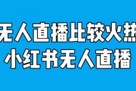 谈谈小红书无人直播的创业项目